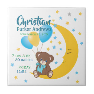 Urso de Teddy Sentado nas Casas de Nascimento do B