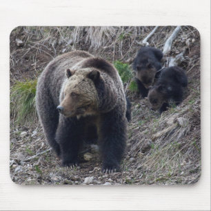 Urso de urso com Cubs Mousepad