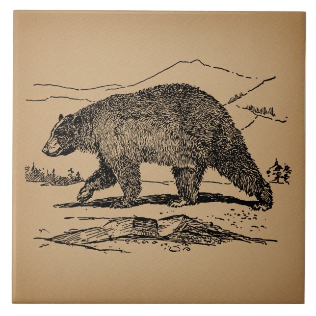 Urso de Vintagem Ilustrado com Arte Antecipada (Frente)