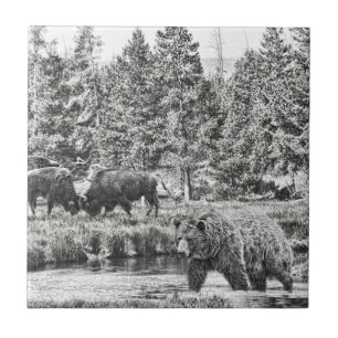 Urso e Azulejo de Arte de Baffalo