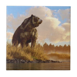 Urso enfrentado Short