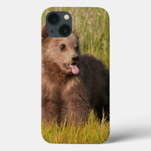 Urso engraçado do bebê das imagens   de Getty