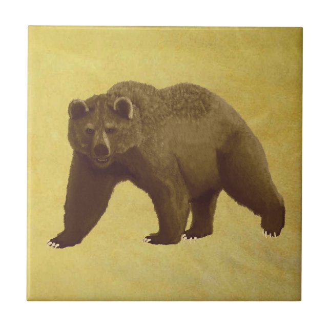 Urso Grizzly (Frente)