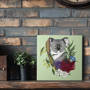 Urso Koala