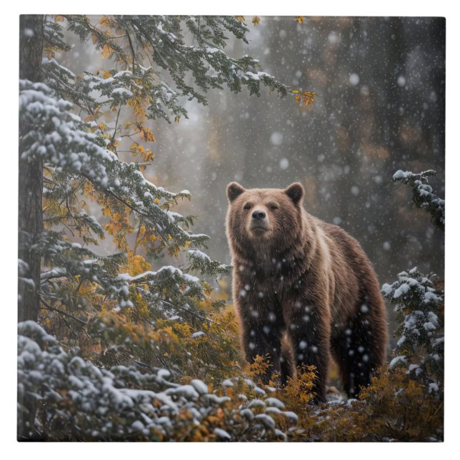 Urso na Natureza Selvagem Neve de inverno (Frente)