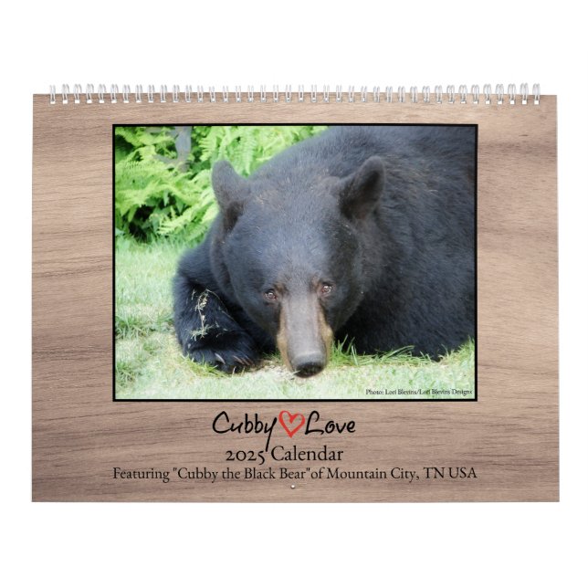 Urso Negro - Calendário Cubby Love 2025 (Capa)