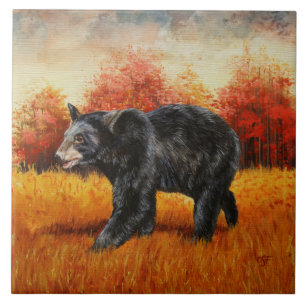 Urso Negro na Floresta do outono