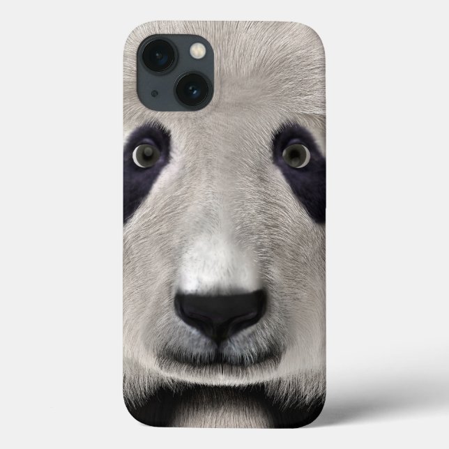 Urso Panda (Verso)