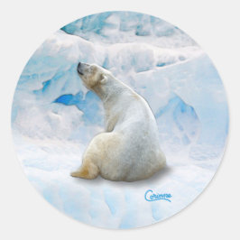 Urso Polar 2 - Etiquetas de Envelope