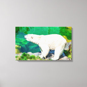 urso polar canvas