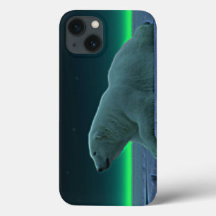 Urso Polar De Borda De Gelo