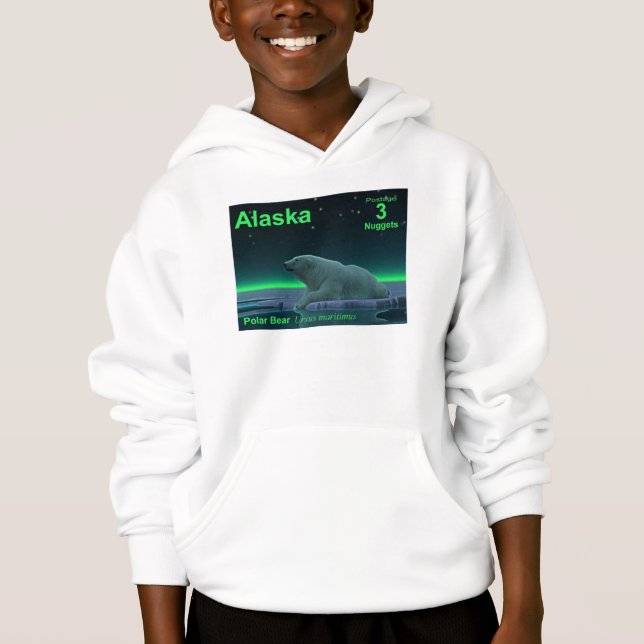 Urso Polar De Borda De Gelo (Frente)