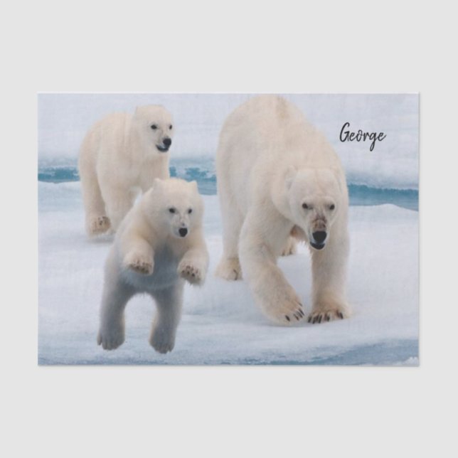 Urso Polar de Papel Tecido (Frente )