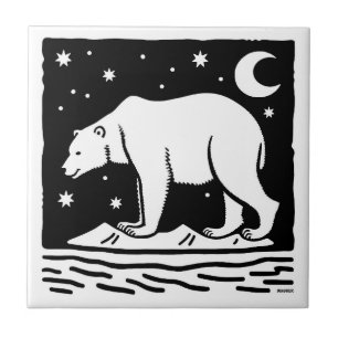 Urso Polar De Surfe De Gelo