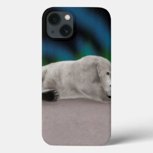 Urso Polar Descansando