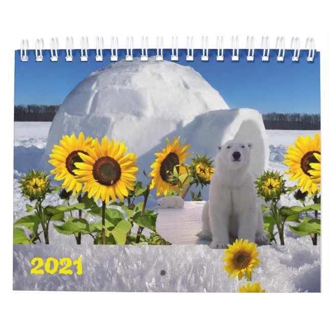 Urso Polar do Calendário 2021 (Verso)