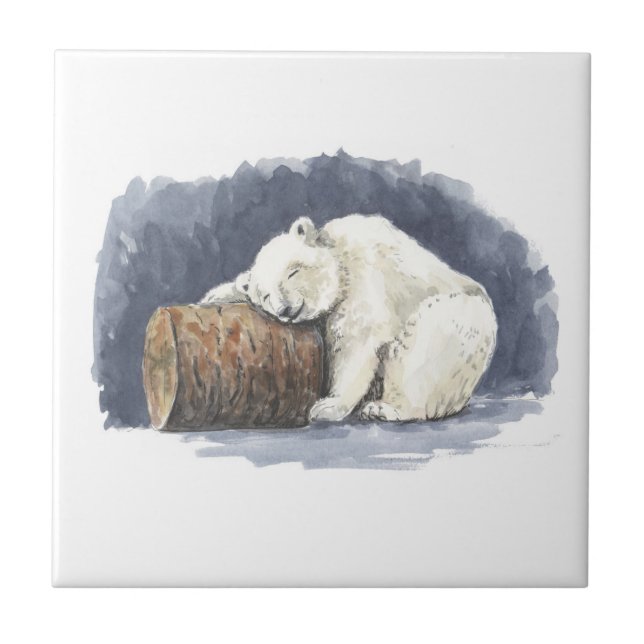 Urso polar dormindo, arte aquarela (Frente)