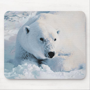 Urso polar e neve Mousepad