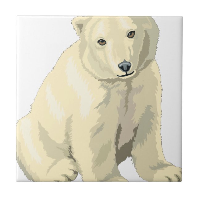 Urso Polar Fofo (Frente)