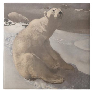 Urso polar que vomita na ilustração da neve