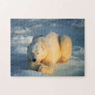 Urso Polar Tomando Sol, Quebra-Cabeça