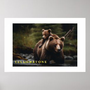 Urso poster Yellowstone