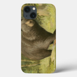 Urso Preto a Passar num Tronco de Árvore