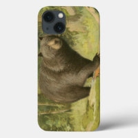 Urso Preto a Passar num Tronco de Árvore