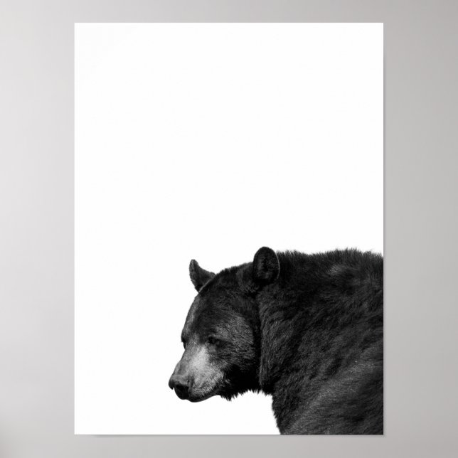 Urso Preto Branco Poster de Foto Quarto de Cabine (Frente)