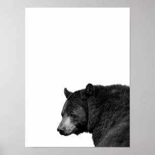 Urso Preto Branco Poster Foto Cabana Berçário