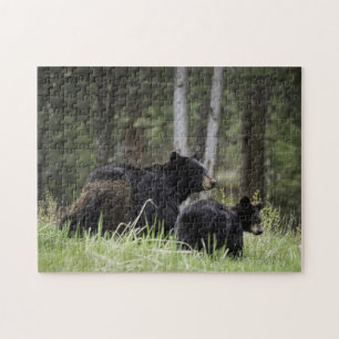 Urso preto de Yellowstone do quebra-cabeça