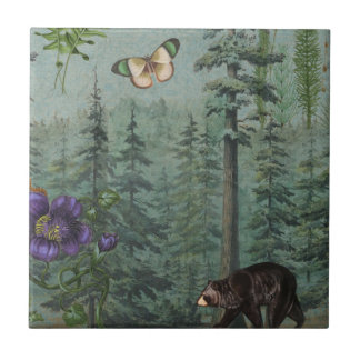 Urso Selvagem Florestal de Madeira, Borboleta, Nat