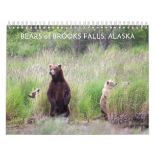Ursos de Brooks Falls - Calendário 2021