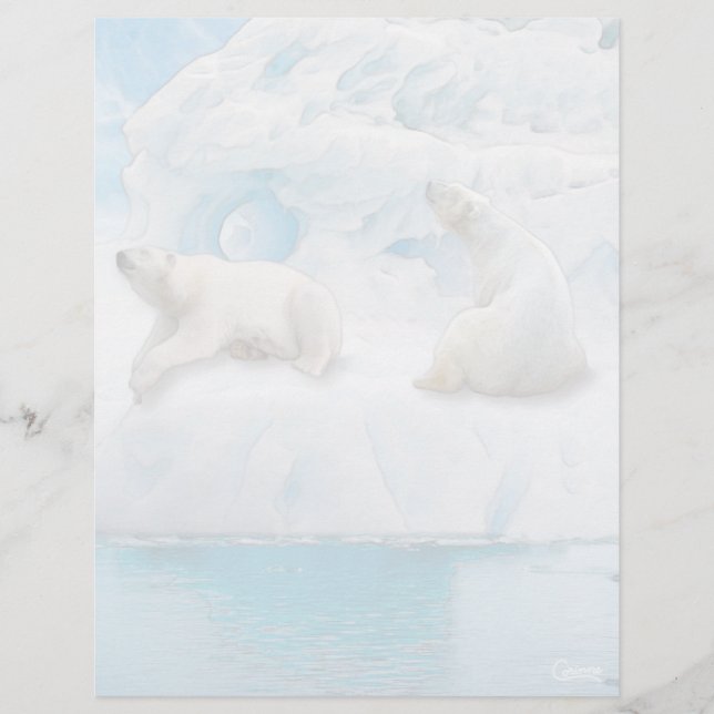 Ursos de Glaciar - Folha de Papel de 8,5" x 11" (Frente)