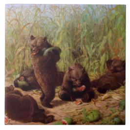 Ursos no Sistema de Melancia (por W.H. Beard)