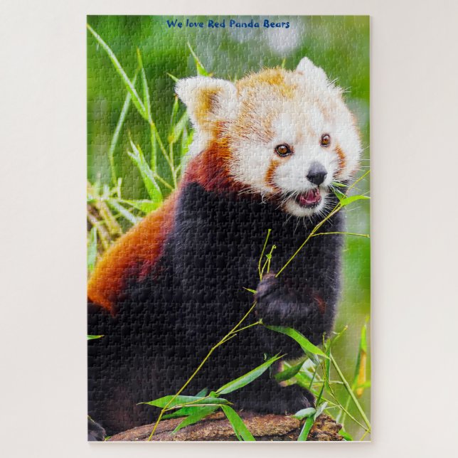 Ursos Panda Vermelhos. Quebra-Cabeça (Vertical)