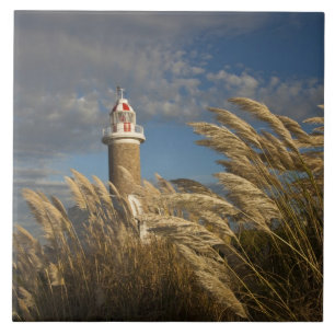 Uruguai, Departamento de Montevidéu, Montevidéu. 2