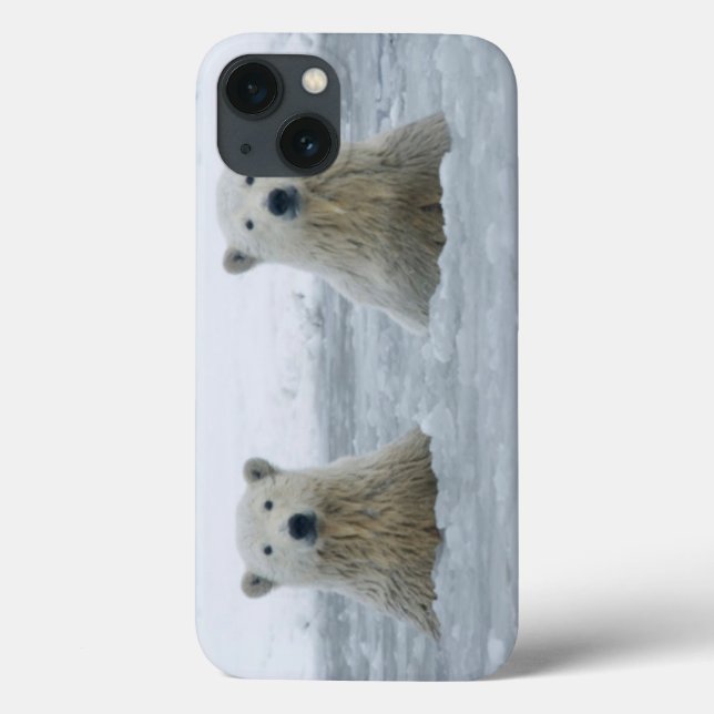 USA, Alaska, North Slope, Polar Bears (Verso)