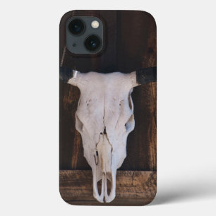 USA, Arizona. Skull On A Shop Wall