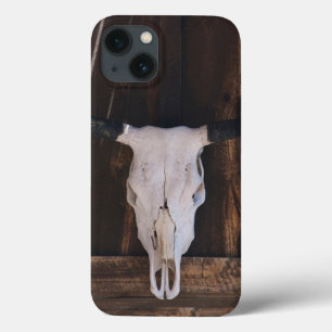 USA, Arizona. Skull On A Shop Wall