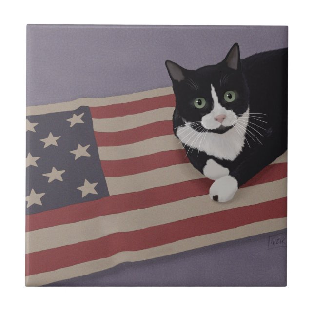 USA Cat (Frente)