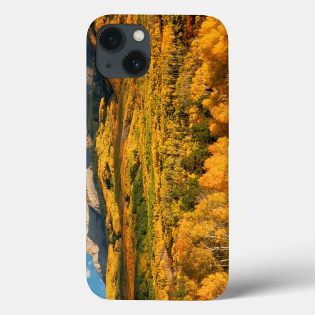 USA, Colorado, Gunnison National Forest (Verso)