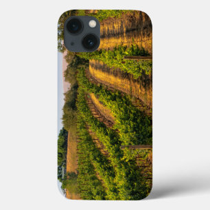 USA, Eastern Washington, Walla Walla Vineyards