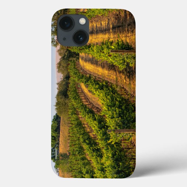 USA, Eastern Washington, Walla Walla Vineyards (Verso)