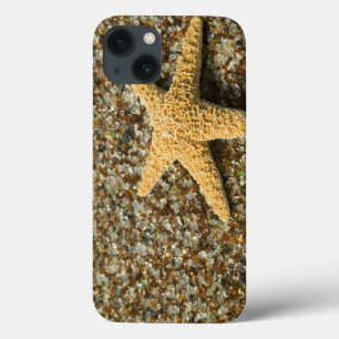 USA, HI, Kauai, Glass Beach with Star fish