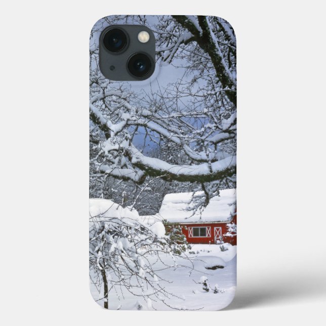 USA, Oregon, Clackamas County. Fresh snow (Verso)