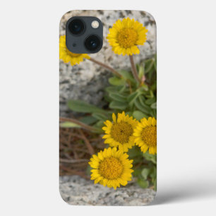 USA, Washington, Cascade Range 5