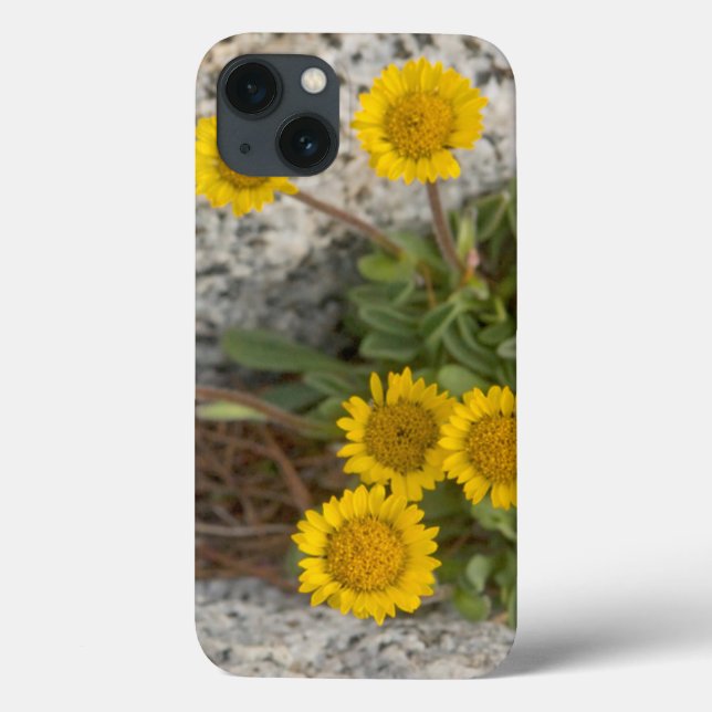 USA, Washington, Cascade Range 5 (Verso)