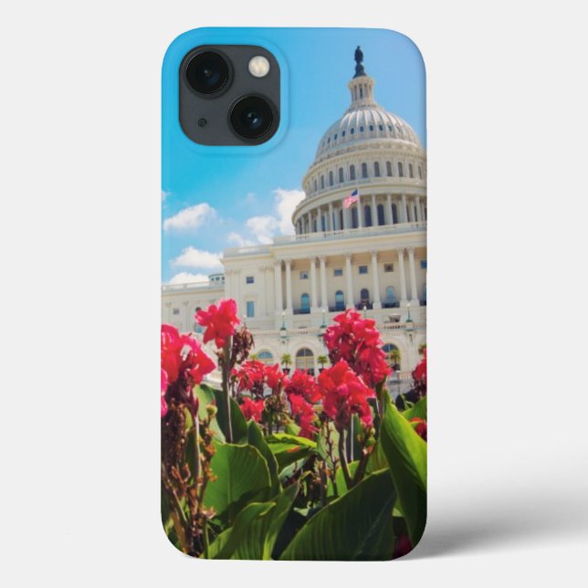 USA, Washington DC, Capitol Building (Verso)