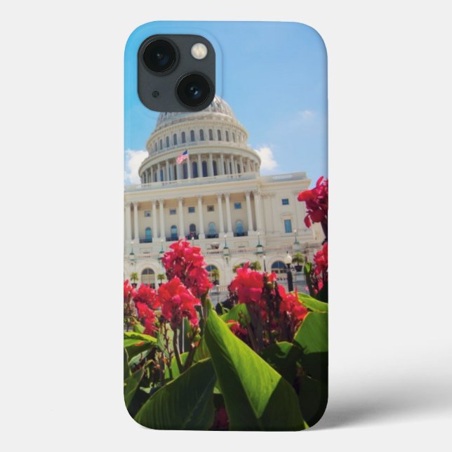 USA, Washington DC, Capitol Building (Verso)